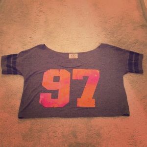 EUC American Eagle Varsity Crop Top Gray XS